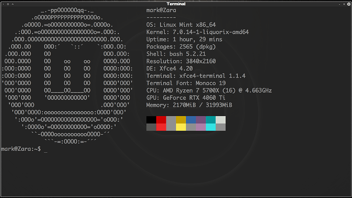 Terminal Grey