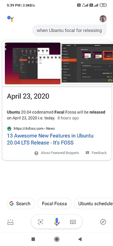 Screenshot_2020-04-23-17-39-59-362_com.google.android.googlequicksearchbox