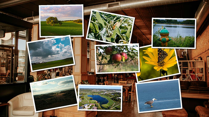 collage_1788796810
