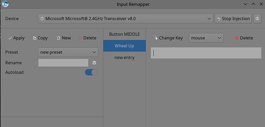 Mouse Input Remap
