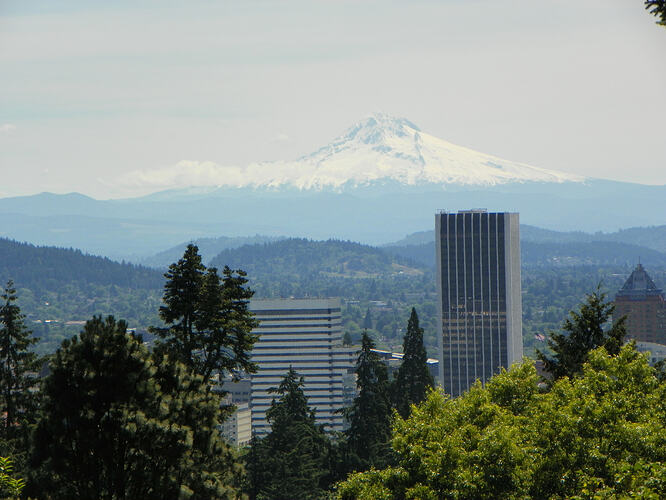 e4f0f338-09d3-434b-b0e1-48daa319001e