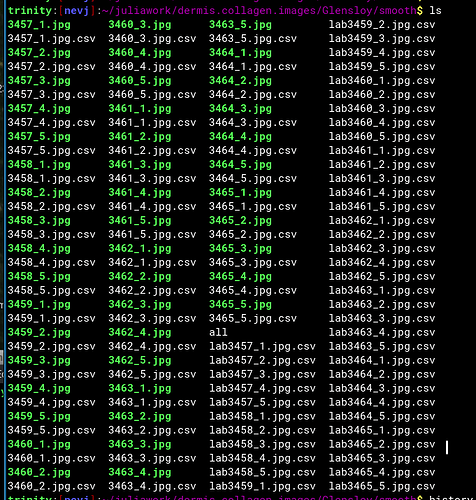 labelcsv