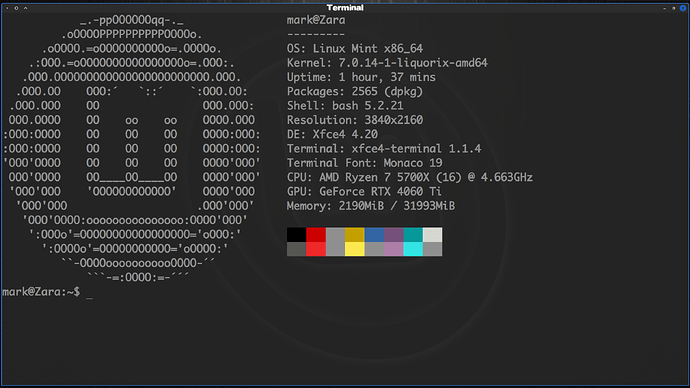 Terminal Blue