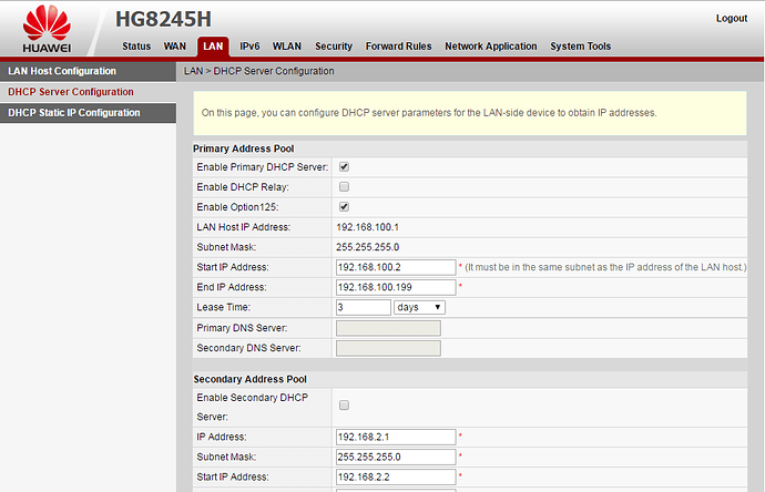 Photo 2 -Screenshot Showing DNS Fields Disabled