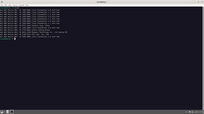 Debian12-lsusb