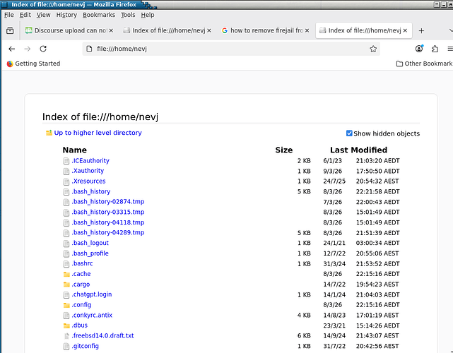 firefox2