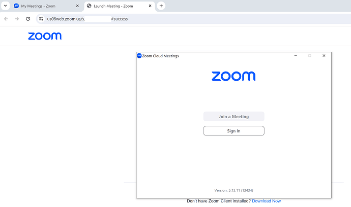 Zoom-03