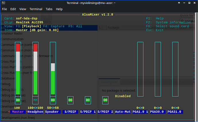 alsamixer internal card