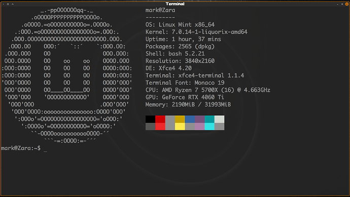 Terminal Orange