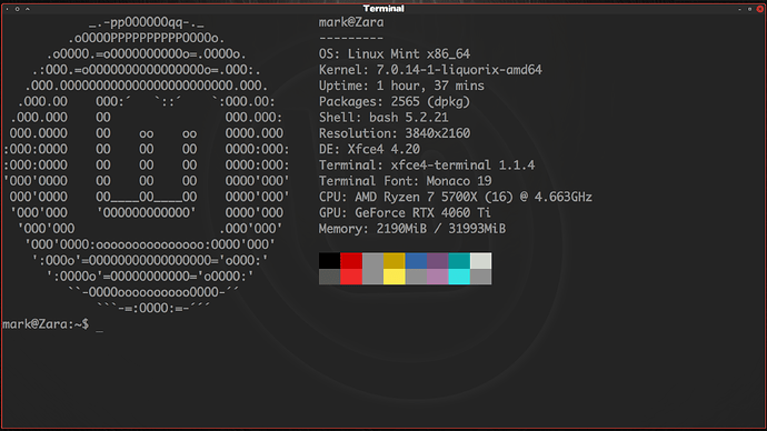 Terminal Red