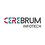 cerebruminfotech